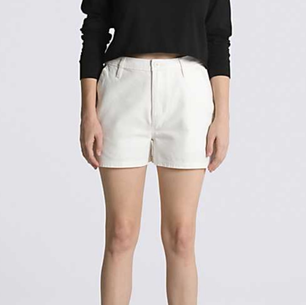 COPY - Vans Ground Work Shorts